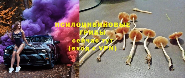 МДПВ Алексеевка